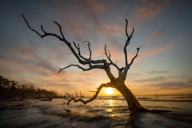 Sunrise at Boneyard Beach