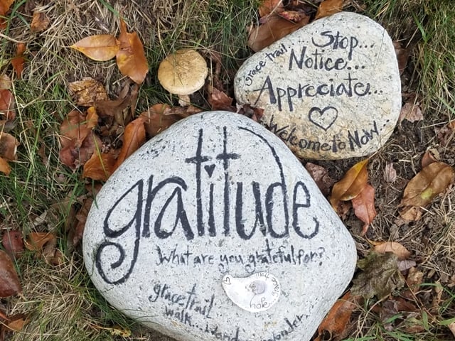 Gratitude