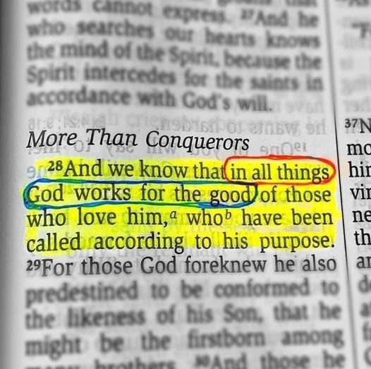 More Than Conquerors