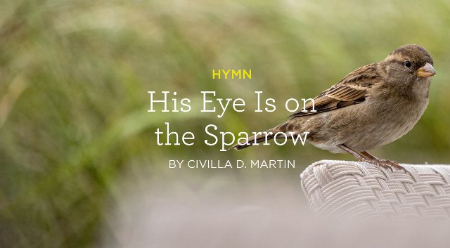 His Eye Is On The Sparrow